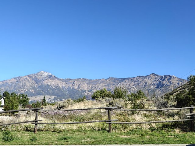 IMG20251007111931.jpg
