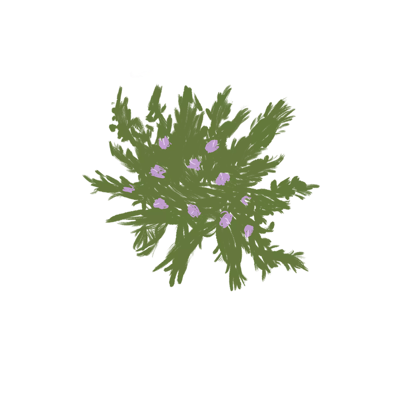 received_861140204623947