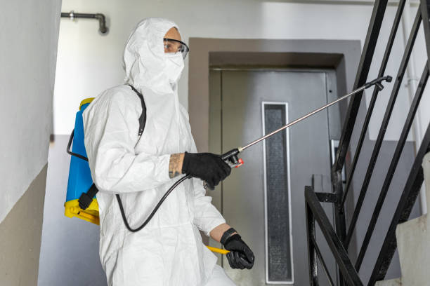 Orlando Termite Treatment