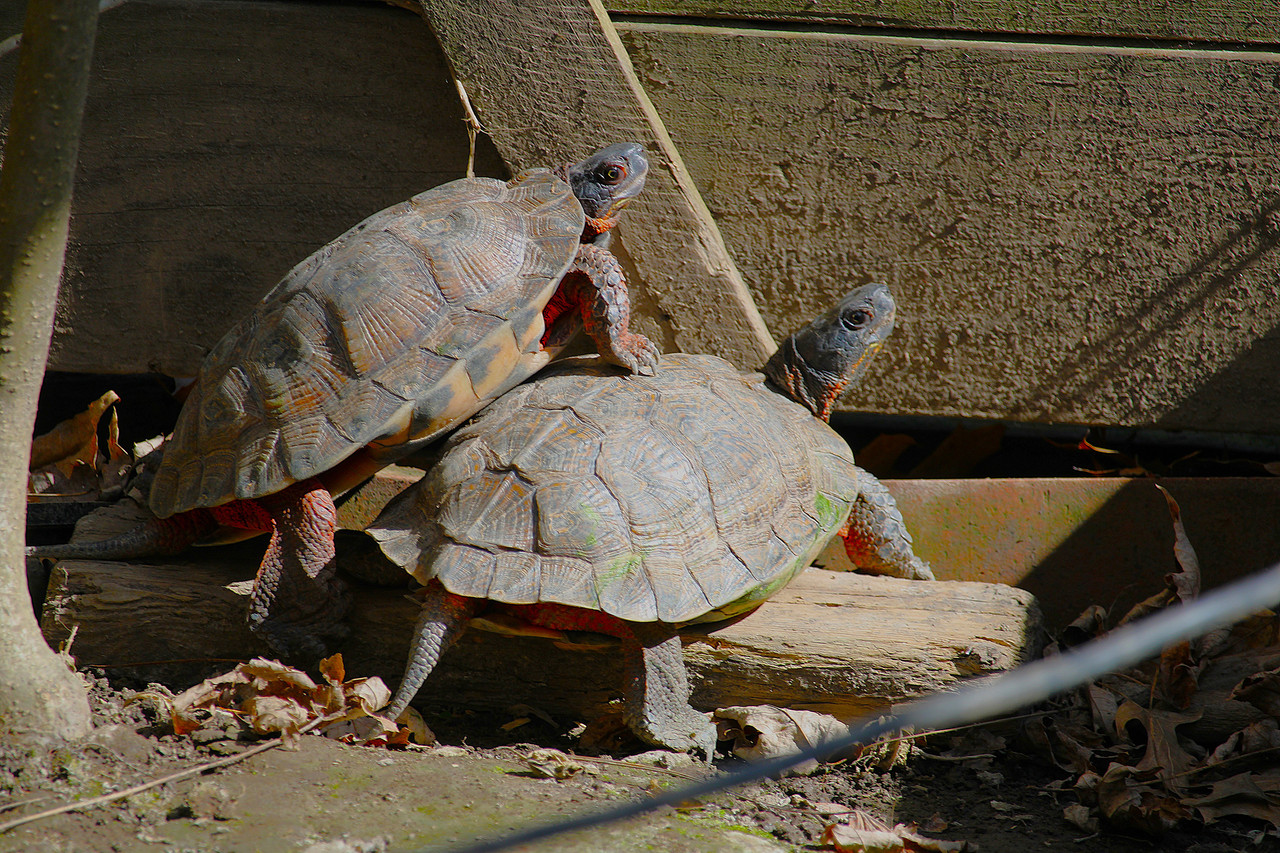 IMG-5014.jpg