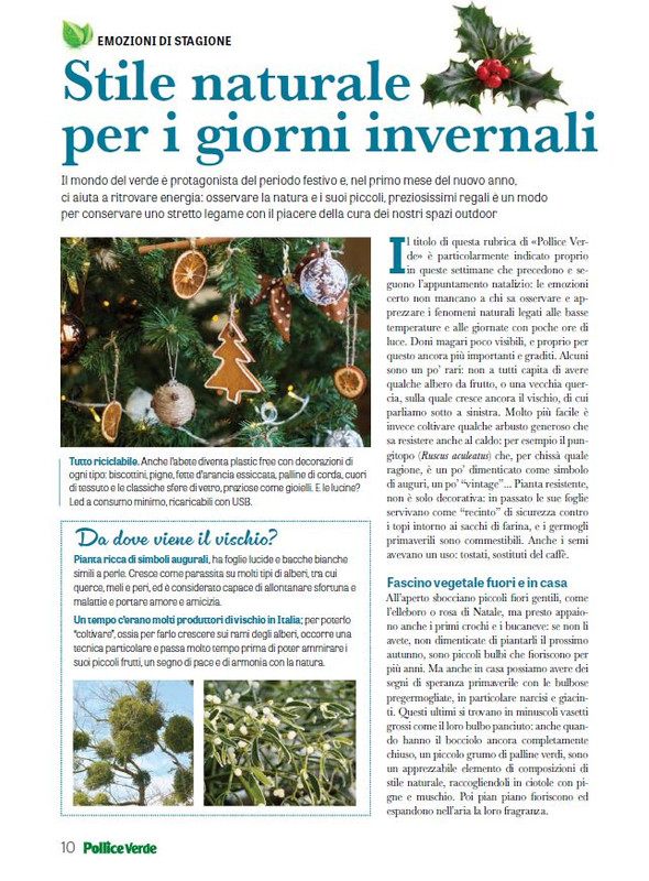 Pol Ver Dic 2024-Gen 2025 (1)