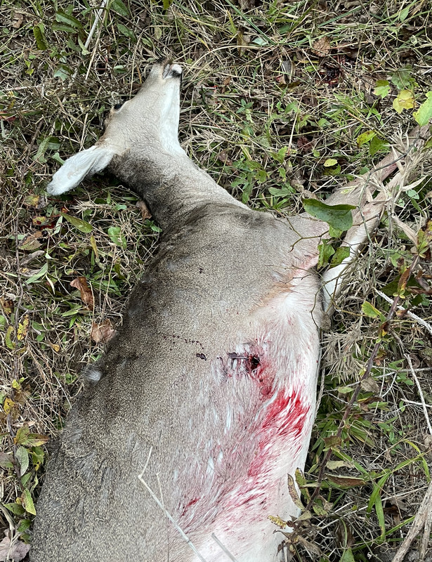 04CA7335-FB29-461C-A9B1-C3EF9F7DB1E5