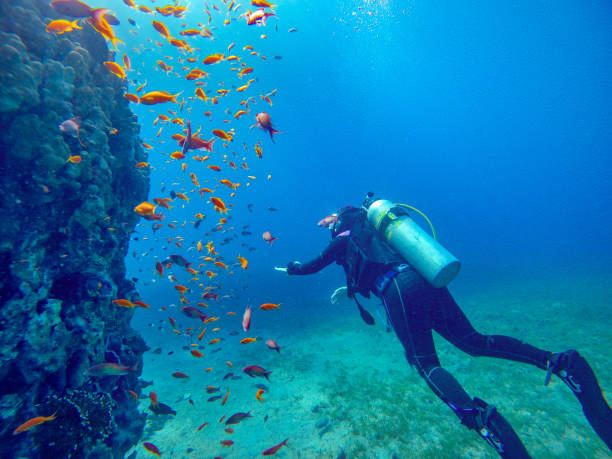 Dive Courses on Koh Tao
