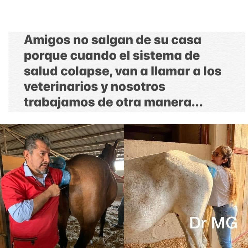 6308C429-B580-44F7-A5E2-9BE6D1F98003