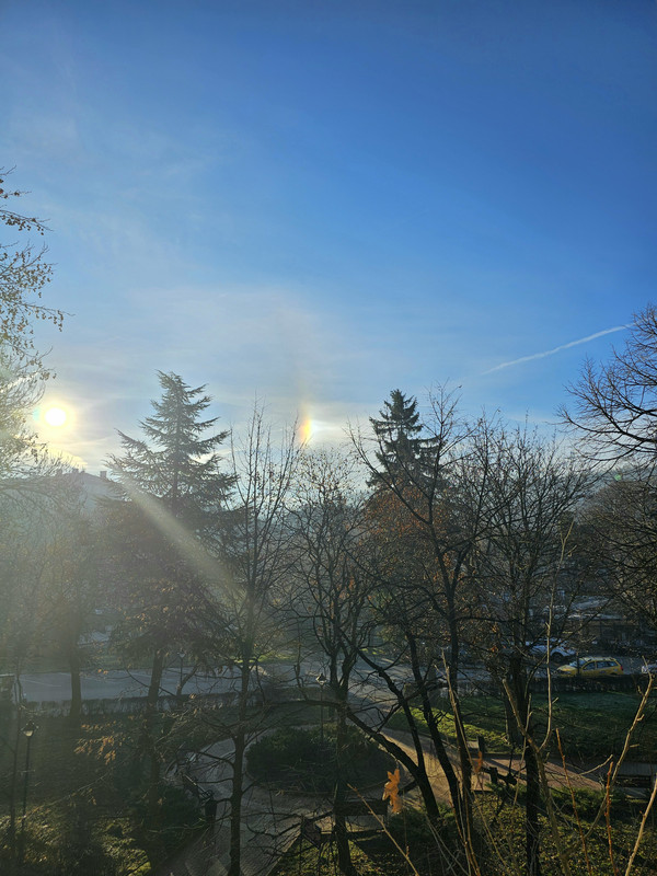 20241219_093014