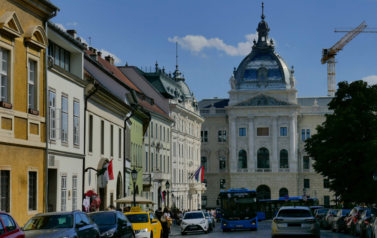 P1380096.jpg