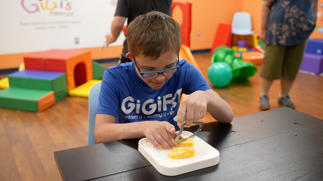 Holstead Professional Set