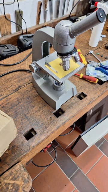 [Bild: 20240810-112243.jpg]