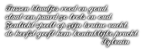 cooltext494229428649592