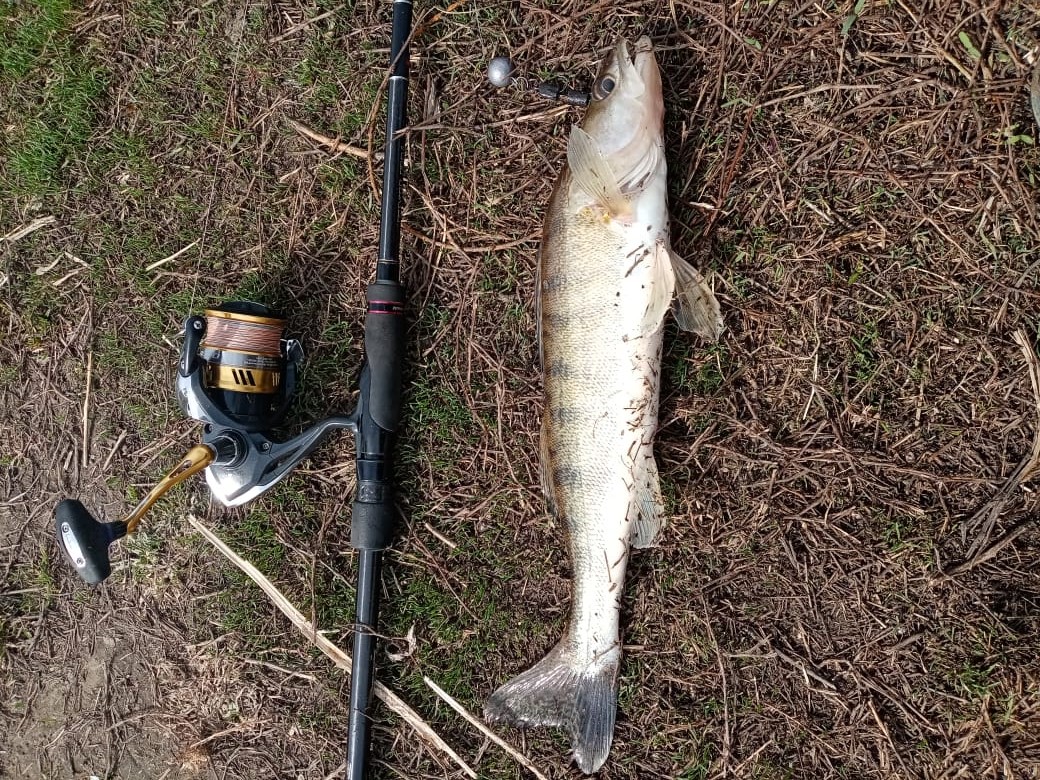 Москва-река джиг спиннинг судак щука мастер-класс Куляпин Андрей обучение рыбалка троллинг ловля оку