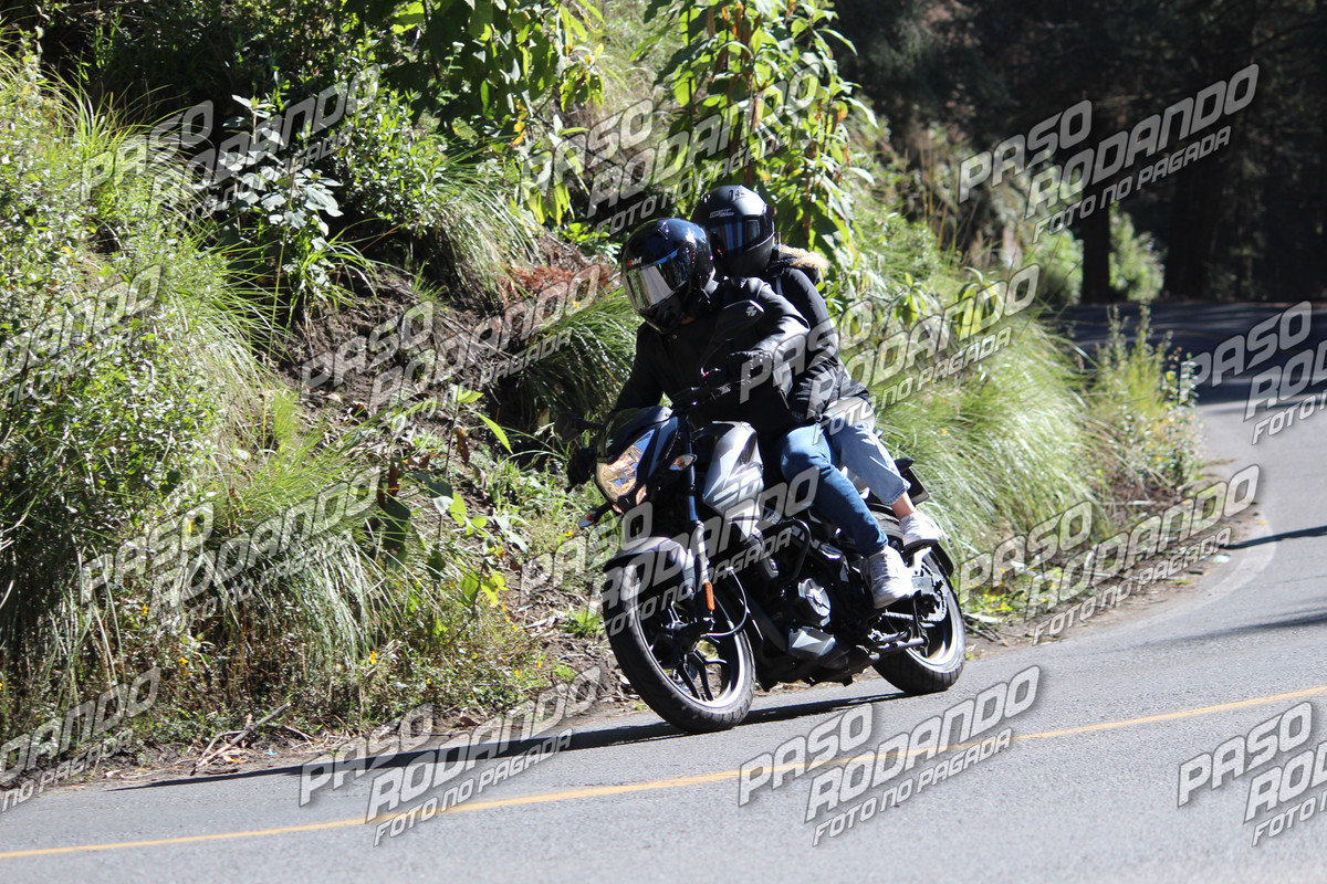 IMG 2339 wm 88187 90000000002 watermarked — Postimages