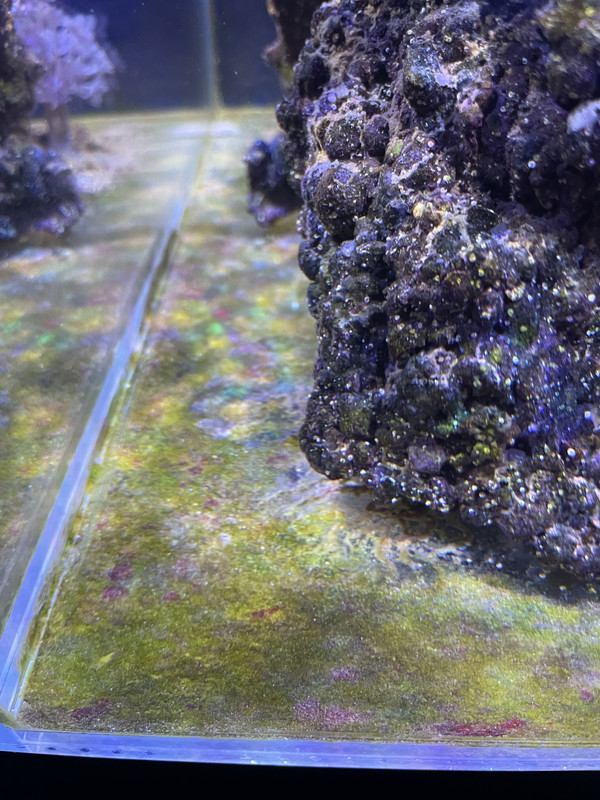 A8023109-510A-435F-83C2-E7016D406903