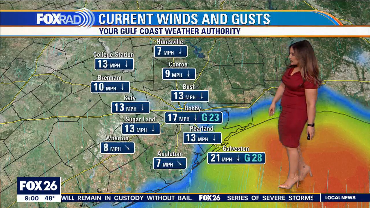 01.13 - 15.00.00 - Houston's Morning Show 9AM. News coverage to start....ts_snapshot_00.06.19.466