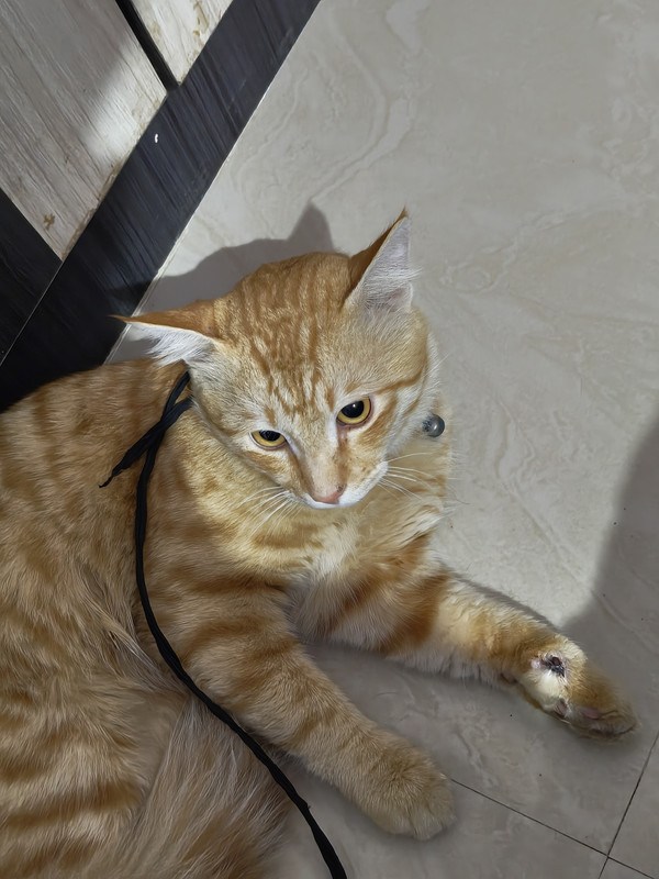 IMG_20240822_113233825