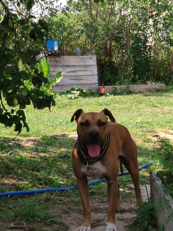 AB89CE1F-49B7-4633-BEC7-B2D3B430E525