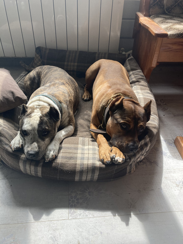 ECEF9F36-586C-47A3-BFD4-8D6CB5238D99