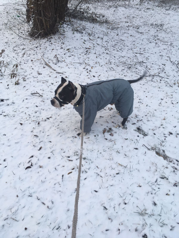 4EDA7F55-9923-49AB-B8FB-07550EE6FA30