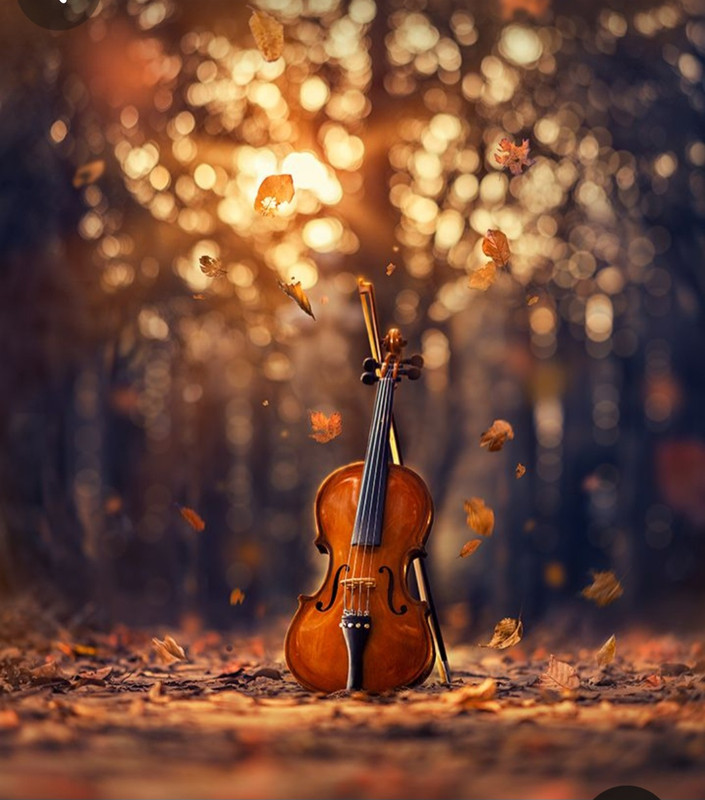 Screenshot_20231219_230328_Pinterest