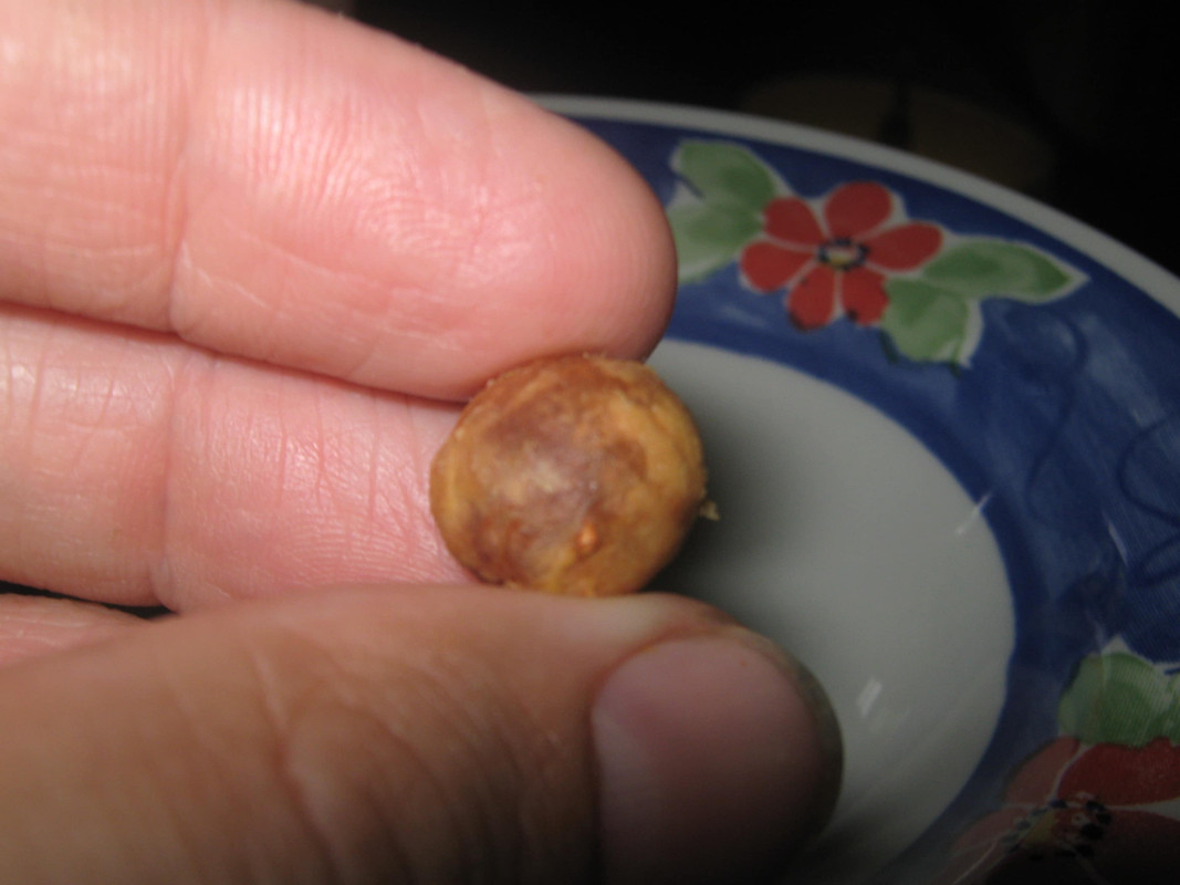 uvaia_inside_-20141230T134407