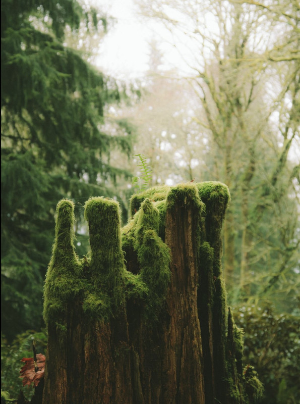 A03BDDA7-504F-44D5-9D26-C8D5BB33B332