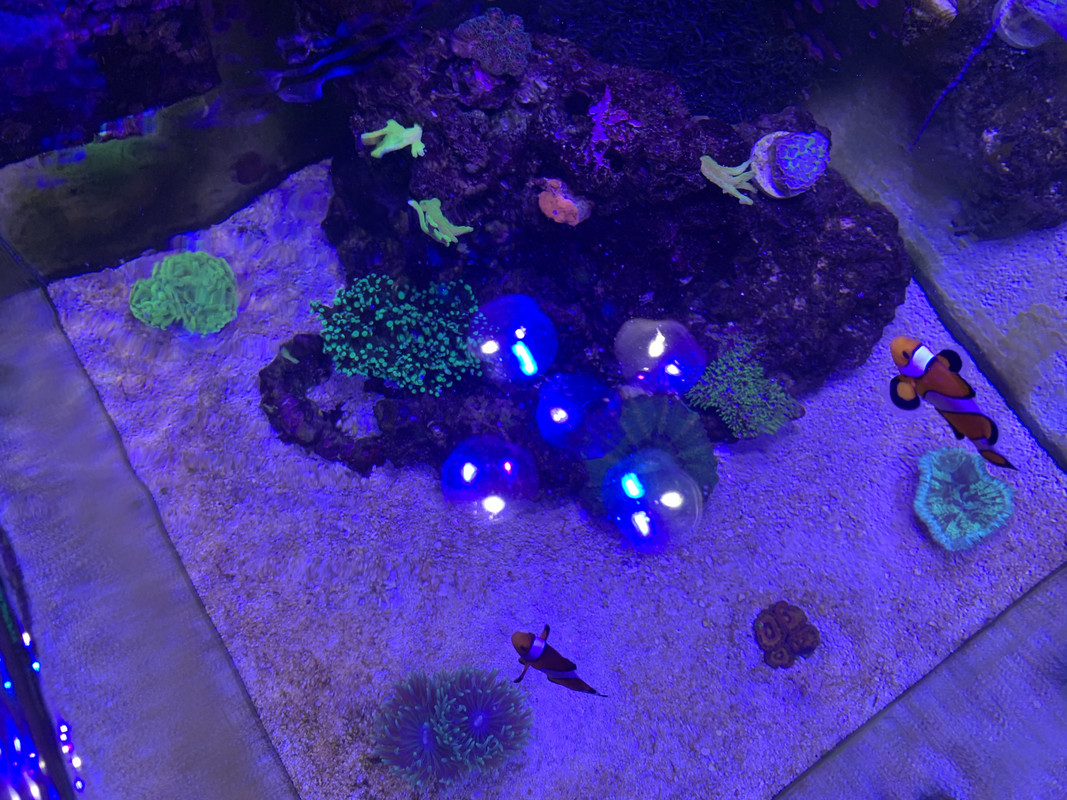 4F77D22D-3139-4D57-8440-29522672DFC8