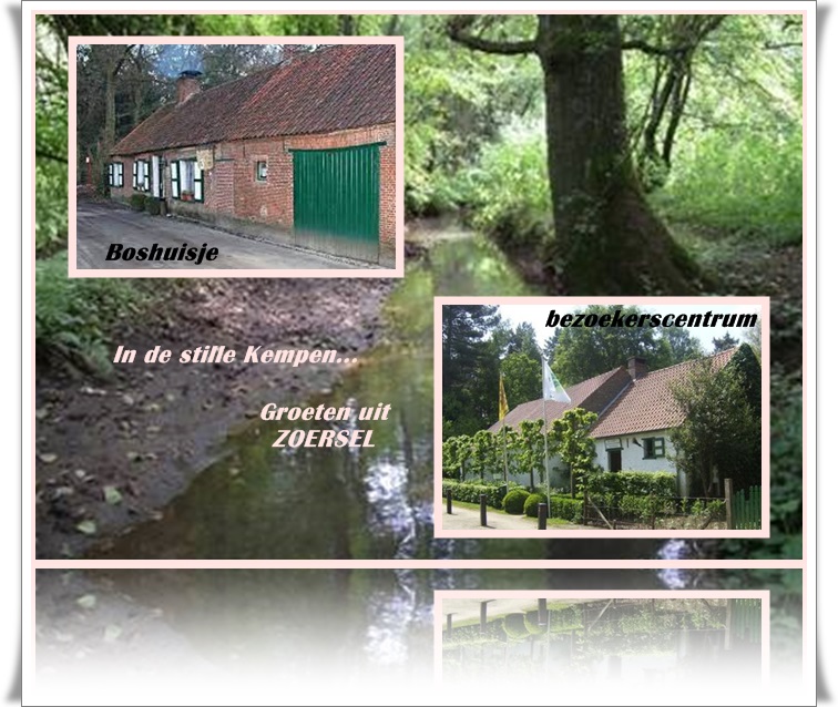 welkom opblog Bunic Jos