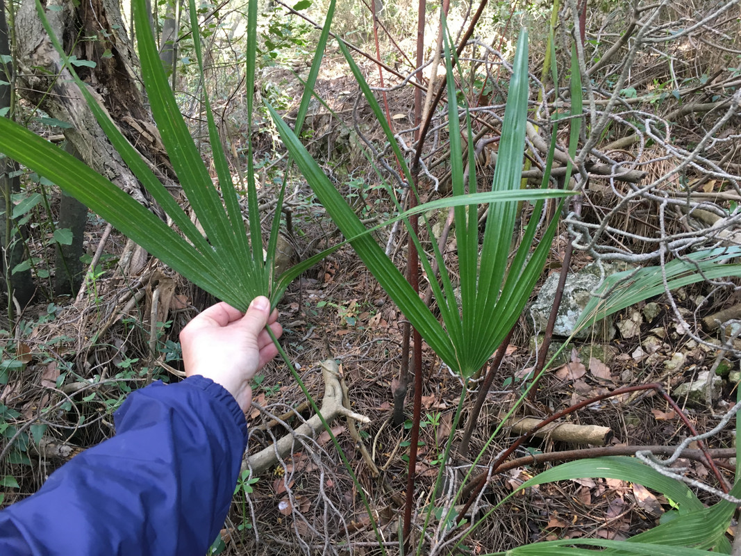 3B57465C-6B47-4FAA-A061-EA3EC01B1E54