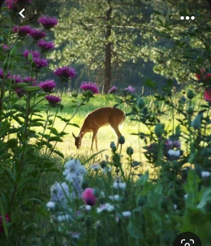 Screenshot_20231012_234047_Pinterest