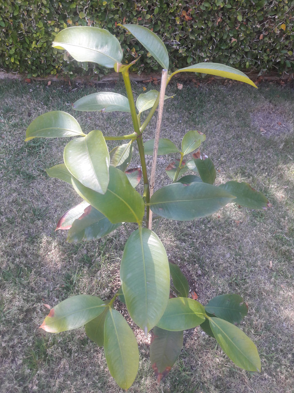 20180624_155834_1529881194713