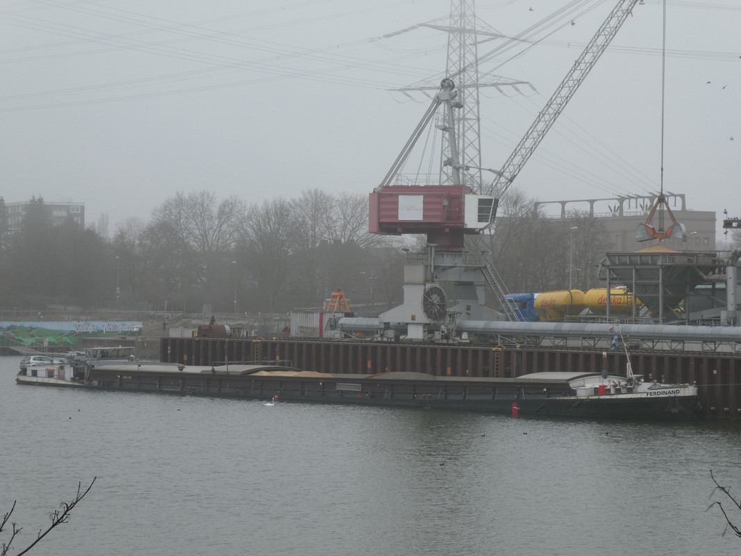 2021.03.01b Ferdinand