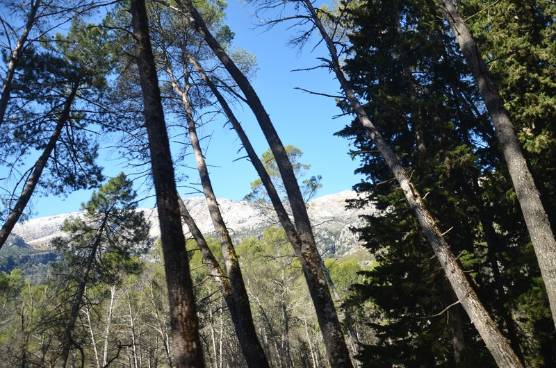 EMBALSE DE EL TRANCO DE BEAS-12-3-2016-JAEN - Paseando por España-1991/2016 (21)