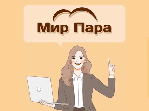 mir-para.by – купить электрокаменку
