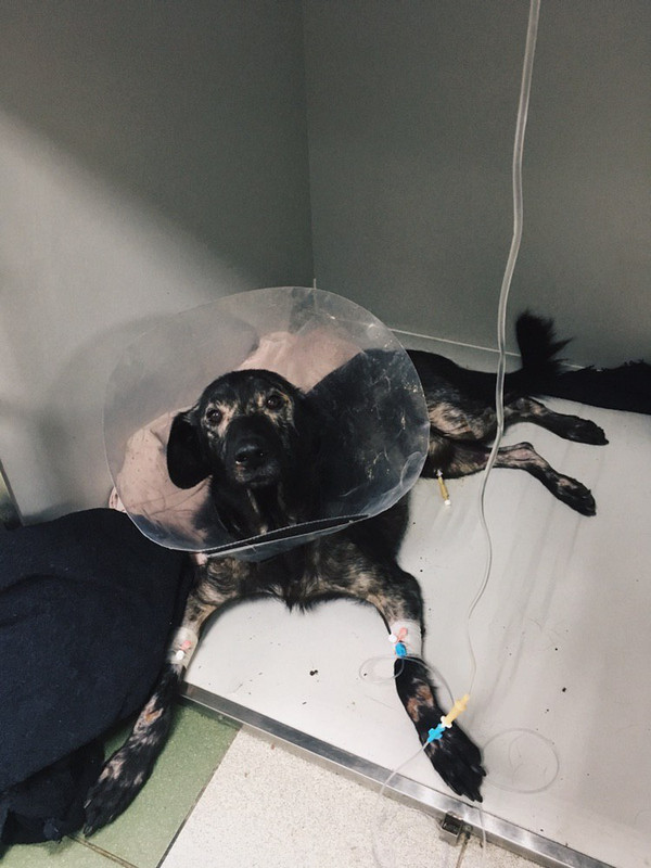 0E1637BC-1E43-40B5-AB8C-3C86743B161C