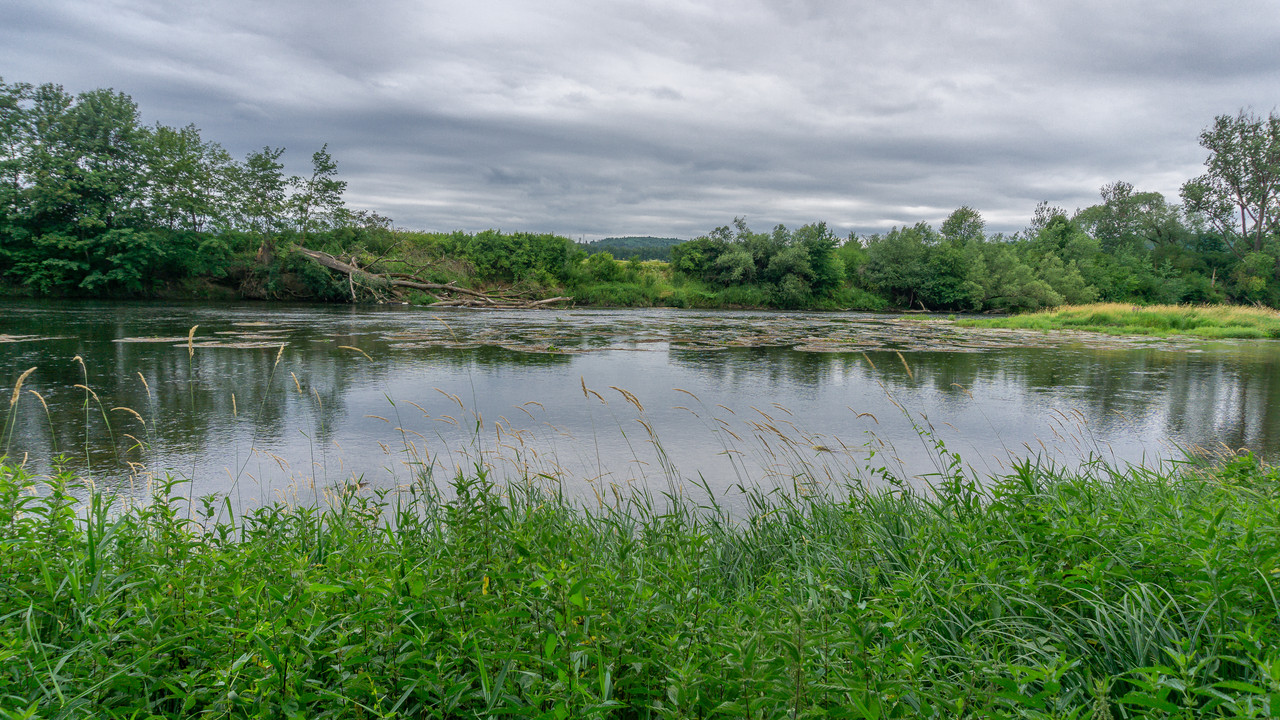 DSC07666.jpg
