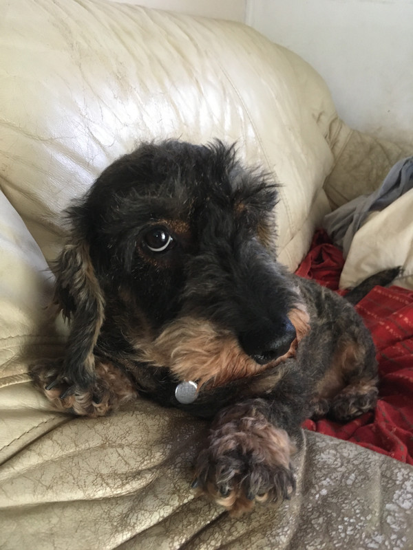 [Image: IMG-2444.jpg]