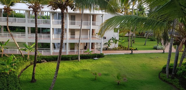 DIA 3 - HOTEL GRAND SIRENIS PUNTA CANA - Hotel Grand Sirenis Punta Cana + Samana + Cortecito (3)