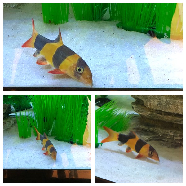 48968E4A-7C50-4488-8C49-2CF85EEFD0F8