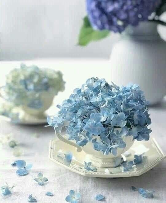 FB IMG 1776082400700