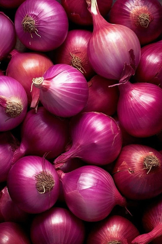 Big Onions