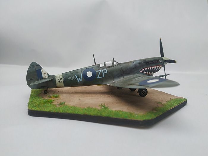 Spitfire Mk.VIII, Eduard, 1/72 IMG-20231016-101431