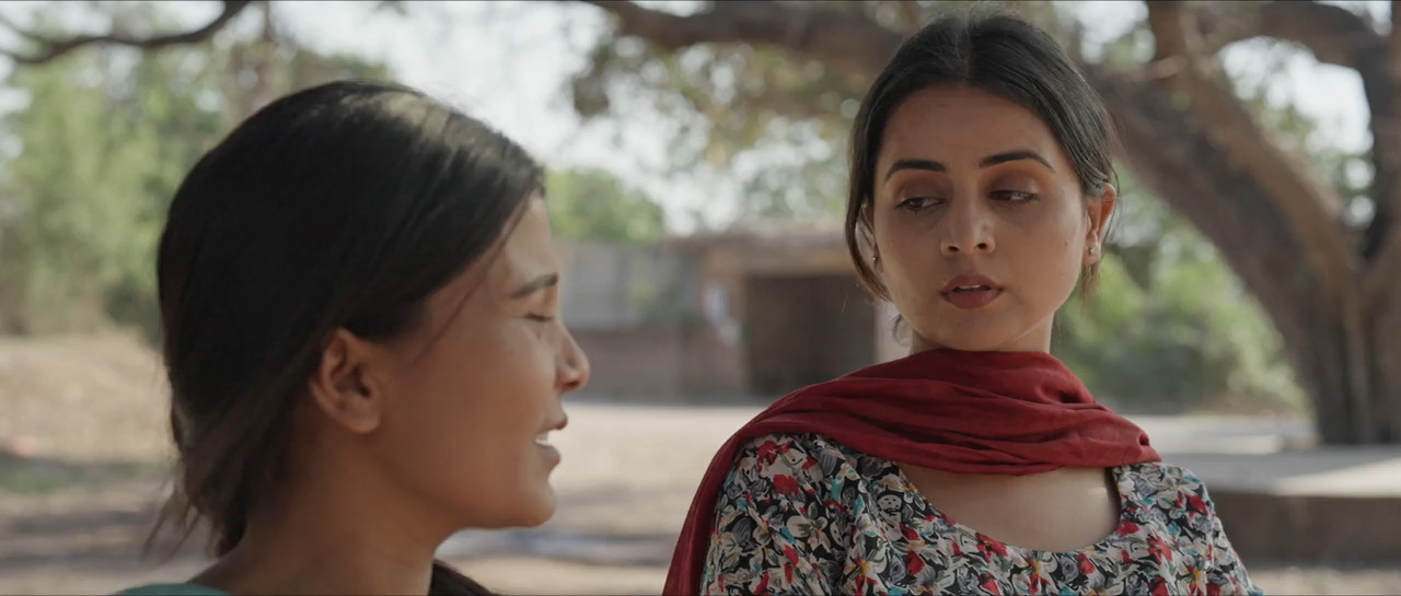 The Error 2025 WebRip [Punjabi] 480p 720p ESub Screenshot