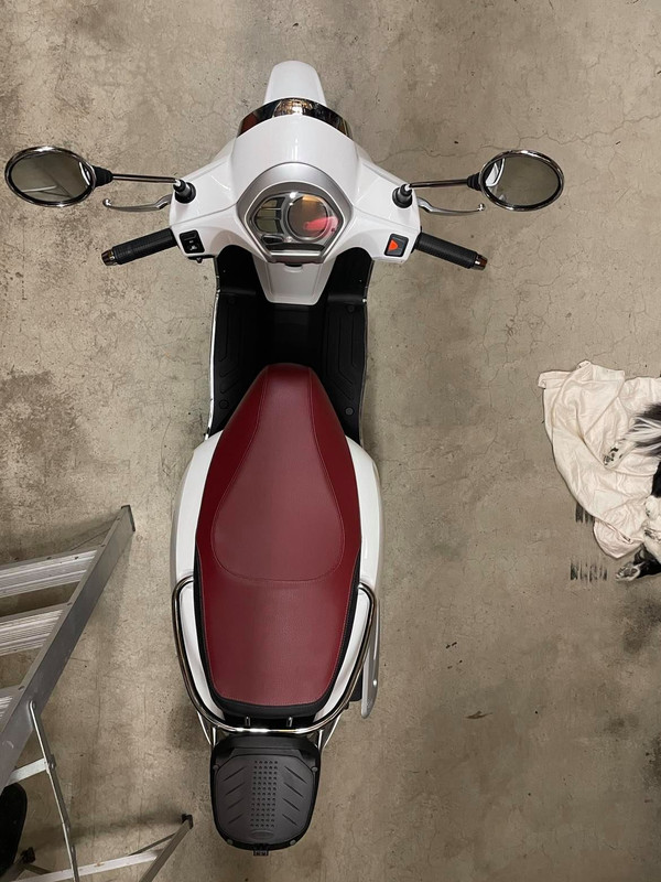 239877851_1332682977129558_1179975844316822095_n