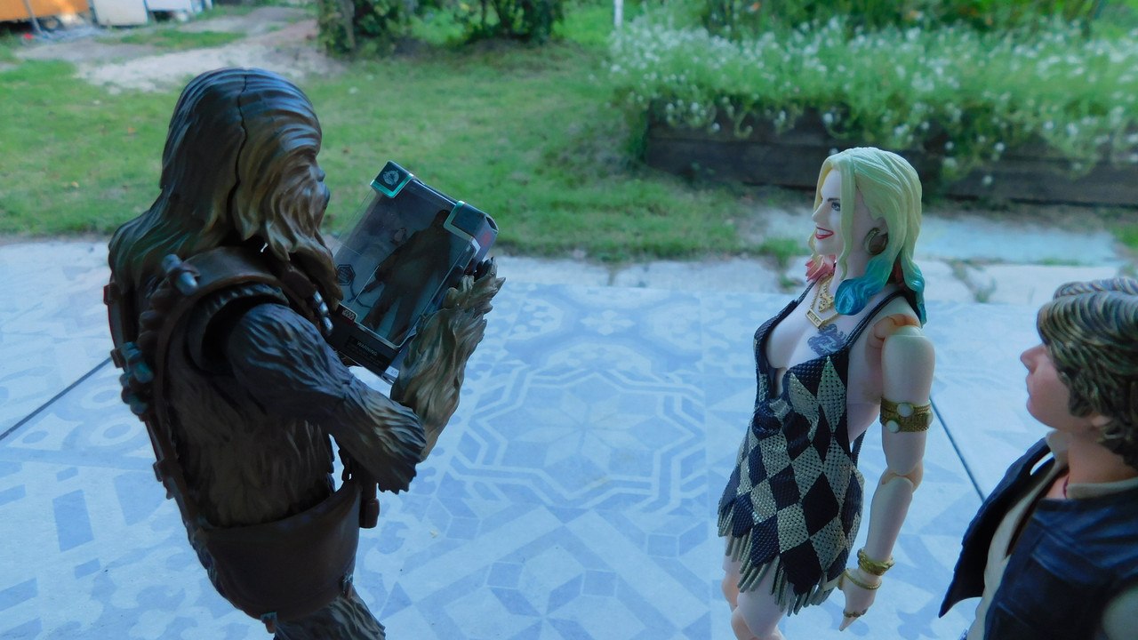 Дачно-барбейское июль, Харлинское 2-я серия 223