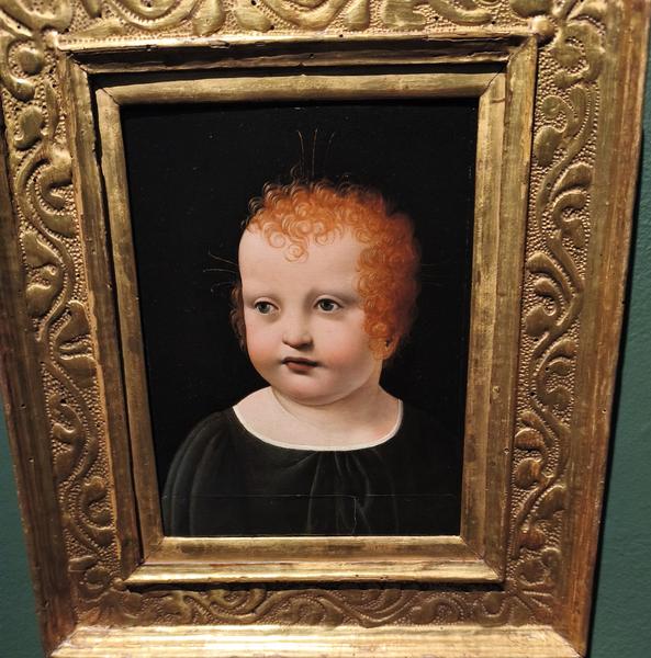 Milán-Turín-Génova-Pavía - Blogs de Italia - Pavía: la famosa batalla y sus torres medievales (148)