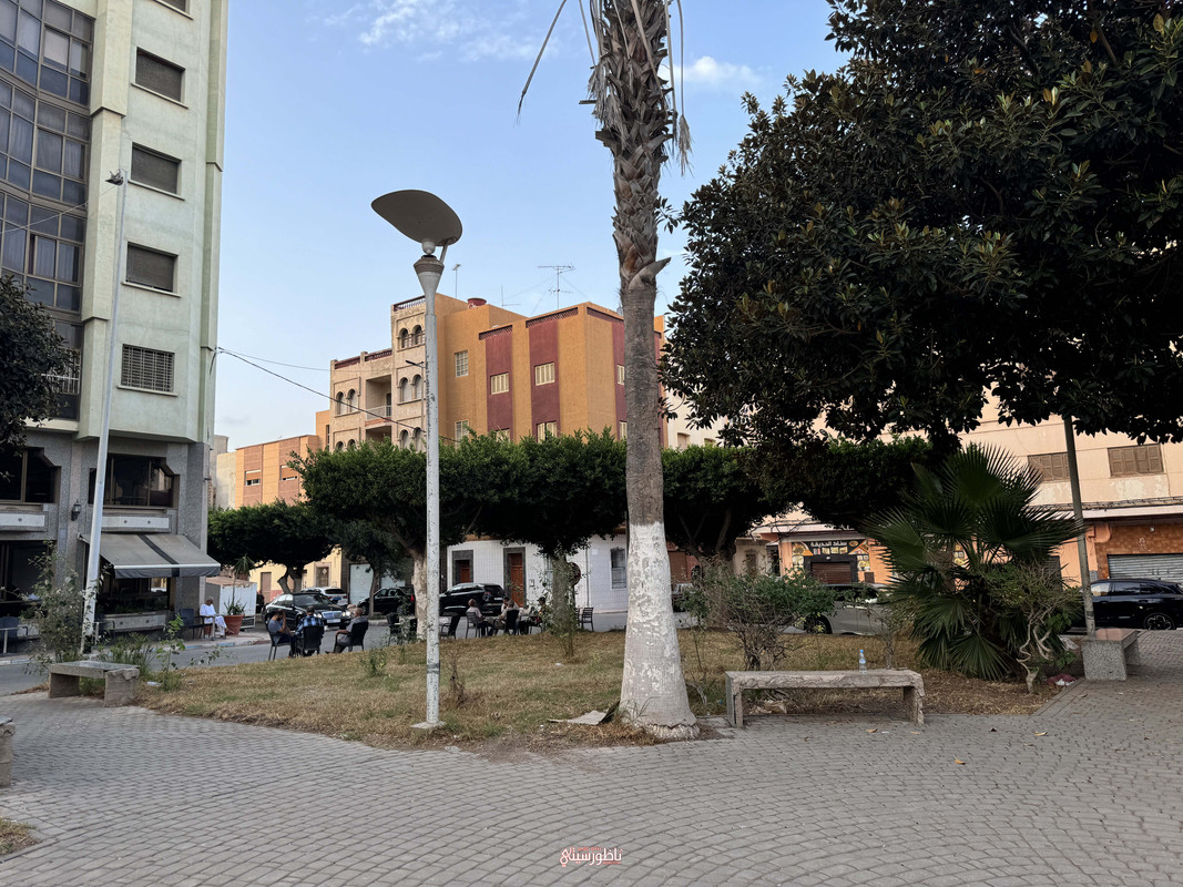 image00019