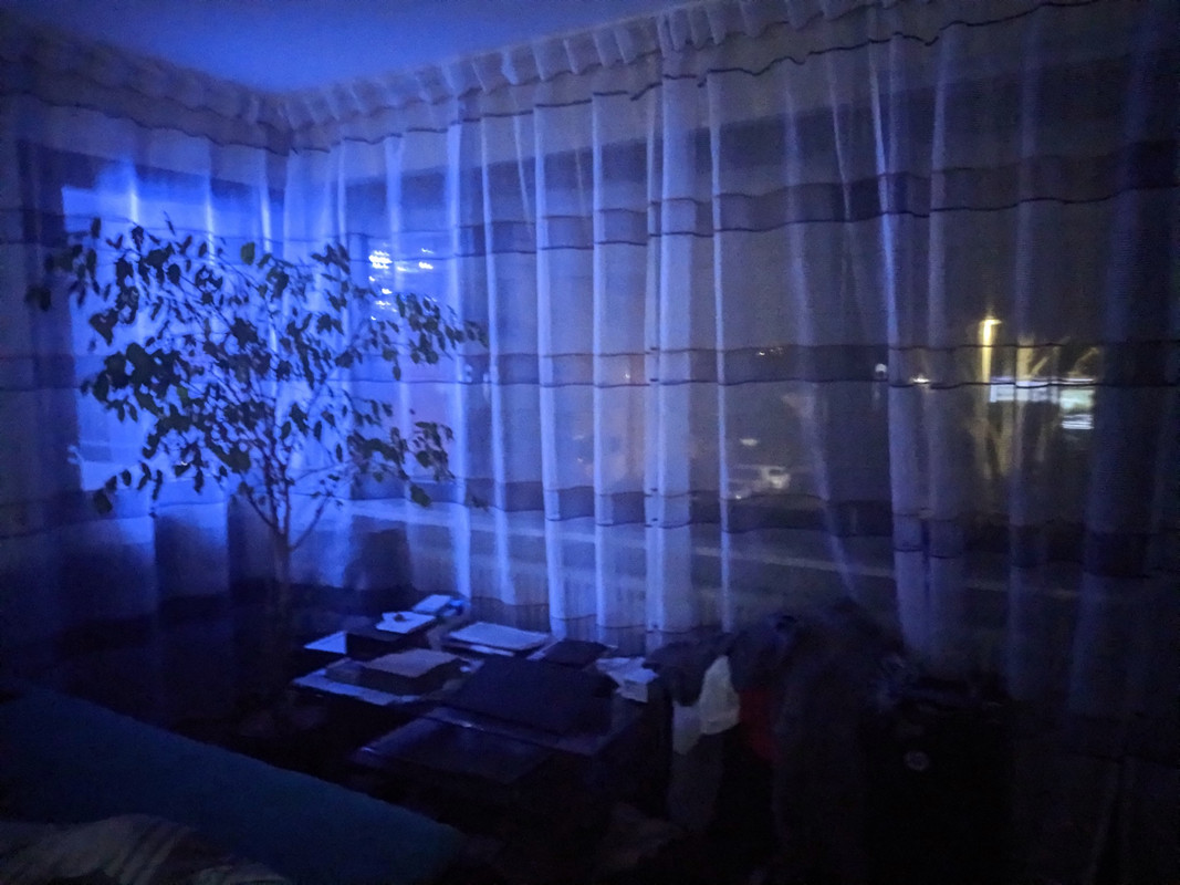 IMG_20211224_235025_tigr