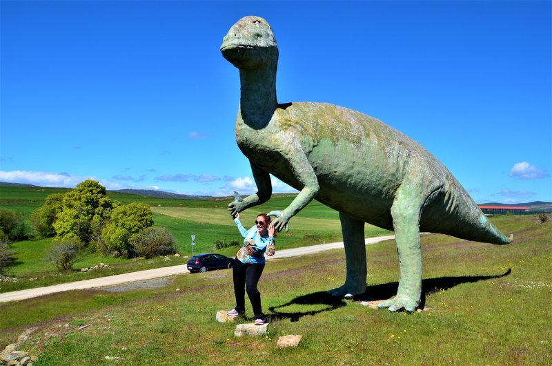 VENTOSA DE SAN PEDRO-25-5-2013-SORIA - Paseando por España-1991/2016 (2)