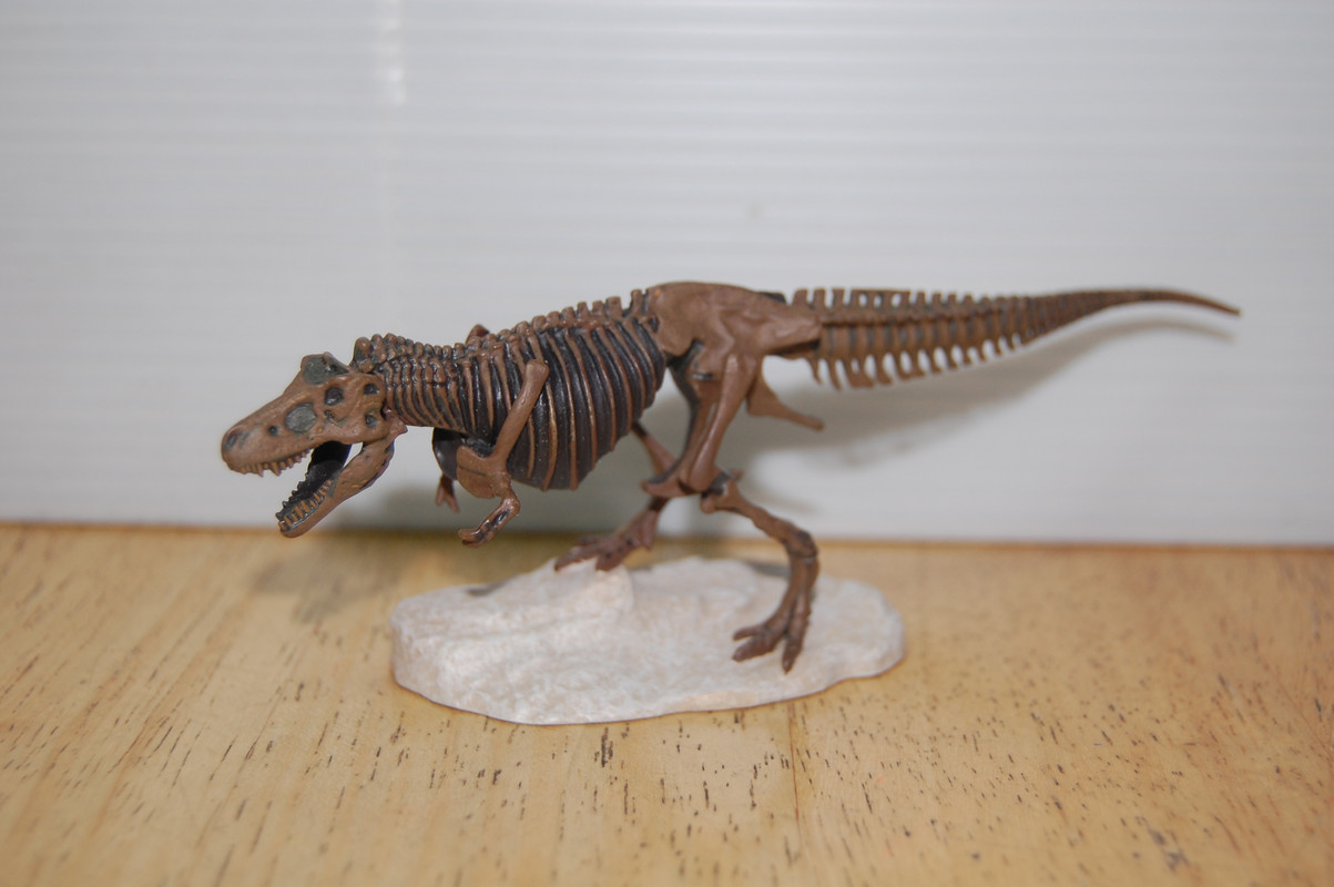 Kaiyodo The Dinosaur Expo 2005 A T.Rex Named Sue Skeleton