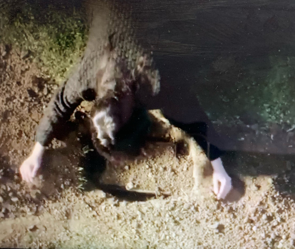 8506AB94-087C-424D-BACF-7AD1A78E9F7A