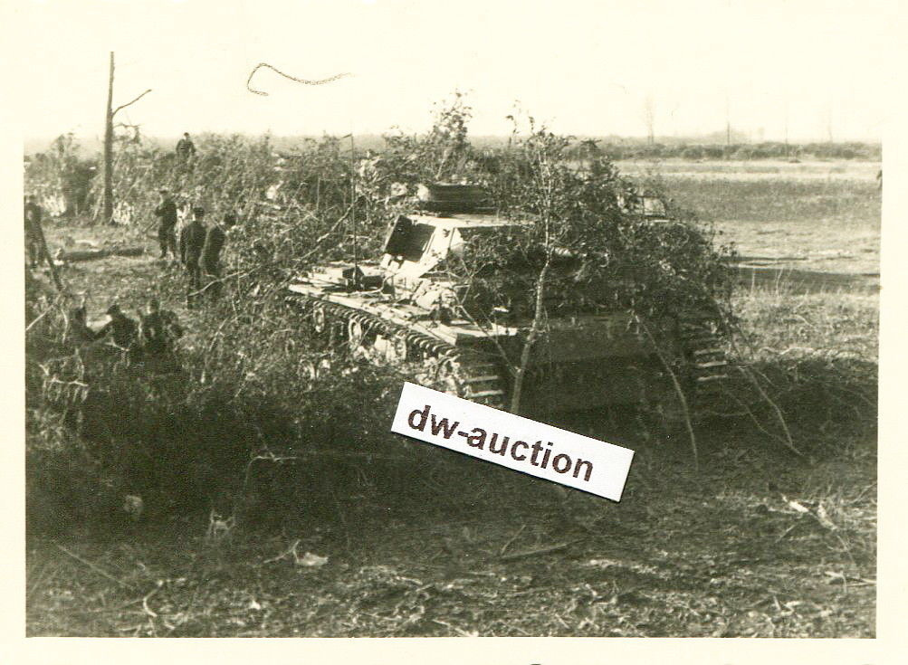 Panzer getarnt im Gelände